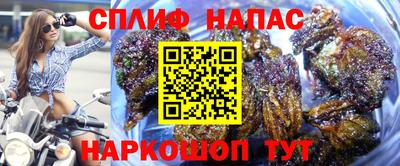 бошки Краснодар